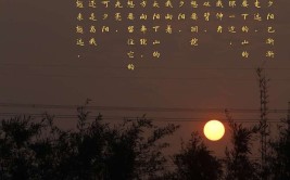 夕阳西下的唯美句子