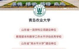 青岛农业大学设计专业在哪个校区