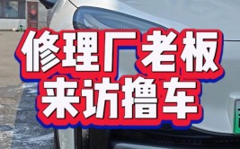 为什么好多修车店的师傅都不建议买电车?(电车修车表弟车主师傅)