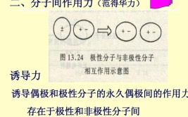 正诱导和负诱导区分