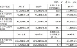 江苏协和电子股份有限公司 2021年年度报告摘要(公司协和募集股东担保)