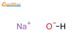 氢氧化钠的化学式是什么