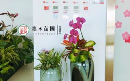 西安花卉租摆绿植租赁项目实施质量保证措施｜西安嘉禾苗圃