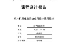 大学的课程设计是什么