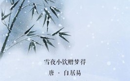 有关雪的诗句