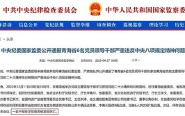 江西2名副市长被问责(给予水利局生态环境督察时任)