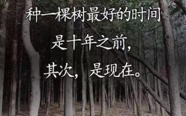 而我修了十年。修树是为了什么呢(而我什么呢一棵树是为了小时)