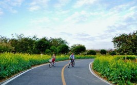 东莞松山湖环湖自行车赏花一天游双人套餐299元/套烟雨松湖