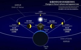 太阳系中距离金星最近的恒星