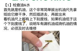 「新手看过来」您需知道的有关车辆维护保养(保养车辆新手看过维护保养)