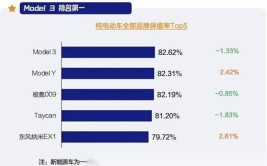 特斯拉成大赢家？国内新能源汽车单月销量翻倍：增长势头太猛了(销量特斯拉增长新能源国内)