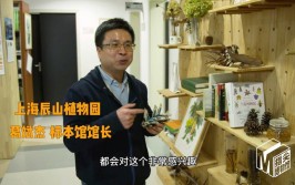 上海辰山植物标本馆2019年暑假实习生招聘公告