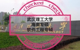 武汉理工大学海南专项是什么意思