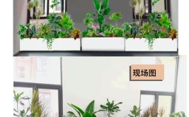 花箱如何栽植与养护管理