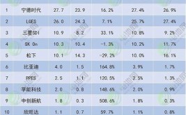 关注接连亏损韩国电池巨头SKon将冻结所有高管年薪(电池市场企业韩系困境)