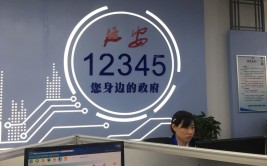 「新中国从这里走来」您身边的政府——探访延安市12345智慧政务服务平台(政务服务平台智慧新中国环球)