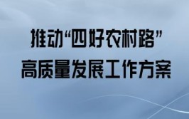 贵州将重点实施八大行动 加快推动四好农村路高质量发展