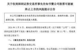 美尚如何成为上市捞钱教科书的？(造假股价财务上市的是)