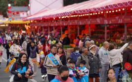 惠州迎春花市来了逛花街买年货必看