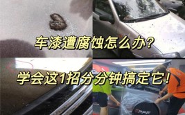 汽车油漆对身体有危害吗？能否避免？(油漆汽车身体都是危害)