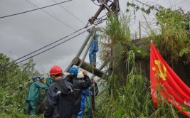 中方县供电公司：快速抢修受损线路(抢修故障供电倒伏停电)