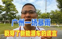 戳穿了1800万新能源车主的谎言，车主苦不堪言(车主新能源暴雨戳穿充电)