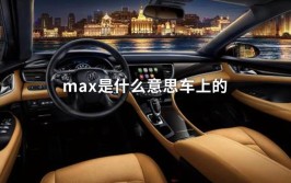 MAX代表什么意思