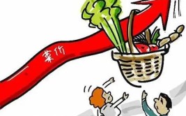 一棵白菜三十几块白菜不卖白菜价为什么