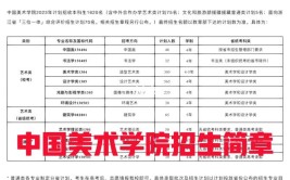 2022年中国美院招生简章发布美术生考多少分能读国美