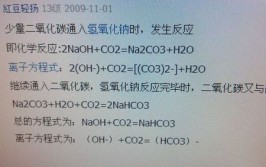 氢氧化钠和二氧化碳反应方程式怎么写