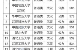 武汉985211大学有哪些