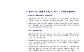 2024版中国家居建材行业市场概况分析及投资前景分析报告(家居分析建材行业建材卖场)