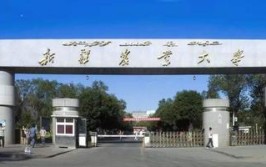 新疆农业大学是211还是985