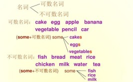 饼干英语可数还是不可数