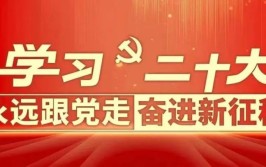 “职”等你来！鸠江区最新招聘来了(宋体以上学历吃苦耐劳薪资工作经验)