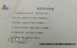 车祸人伤保险理赔款多久下来(受害人机动车过错收入驾驶人)