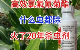 植物打完农药就下雨杀菌杀虫没效果阴雨天打药建议用这5类农药