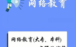 大学本科包括网络教育吗