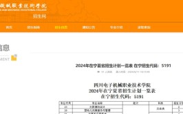 宁夏职业技术学院2023年在四川各专业招生人数