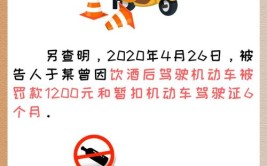 洛阳6名党员因酒驾醉驾被通报：拘役、记过、开除党籍(驾驶拘役党籍罚金并处)