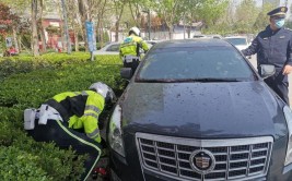 拖车\"神器\"亮相河北邢台 帮违停车辆穿上\"轮滑鞋\"(车辆拖车执法人员交警穿上)