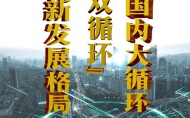 新发展格局下畅通国内大循环观察(大循环国内格局新发展市场)