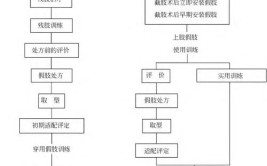 髋离断假肢制作流程介绍(假肢流程制作介绍步骤)