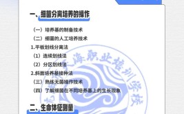 医学实验技术专业怎么样