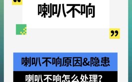 故障现象仅因喇叭不响(喇叭一台这是按钮师傅)