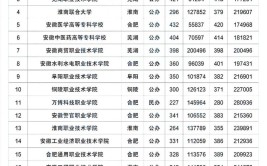 2024年公办大专录取分数线200分可以上的公办专科学校