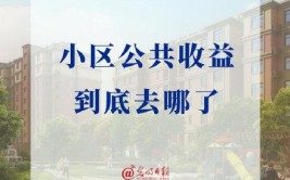 小区公共收益去向不明(小区业主住宅小区物业收益)