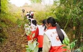 植此青绿兴宁市永和镇掀起乡村绿化热潮