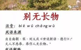 别无长物造句