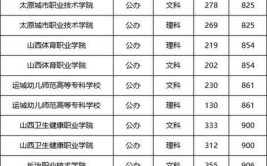 2024山西文科290分能上什么大学？